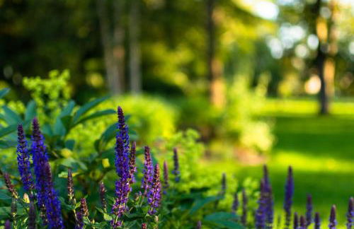 Ferienwohnung Bispink - Foto 11