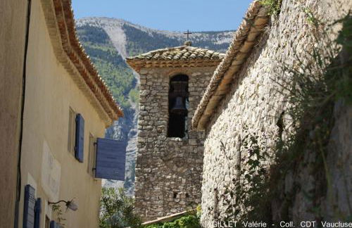 Les Terrasses - Gordes - Photo 75