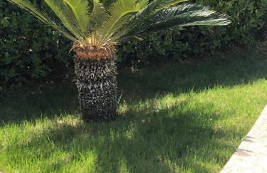 Appartamento L'Ulivo - Foto 35