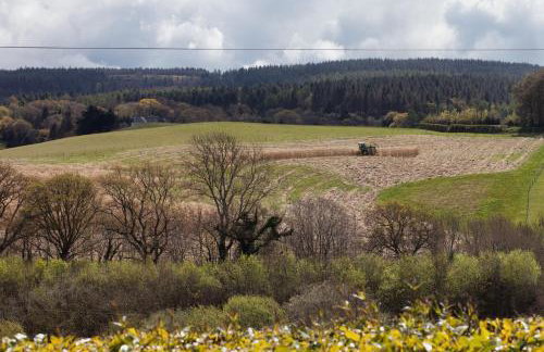 Pine Tree Lodge - Foto 22