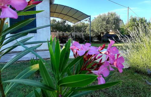 Holiday Home Villa Emma - Photo 39