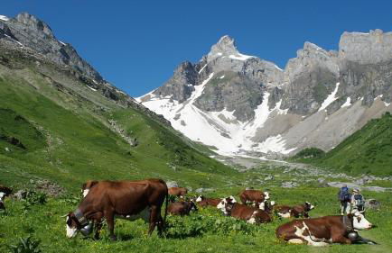 BelleVue centre, wifi, mountain view - Foto 40