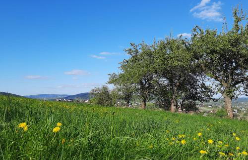 Domek pod Skiełkiem - Photo 22