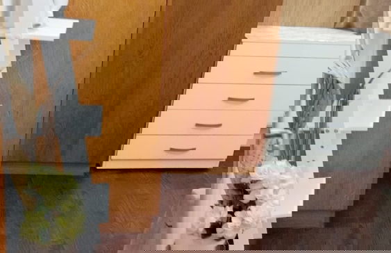 Luton Excellent 1 bed Apartment With Living Room - Photo 26