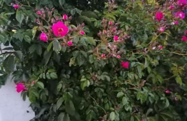 Maisonnette de charme entre plages et estuaire - Foto 11