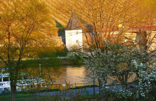 Luiza Fewo - Foto 14