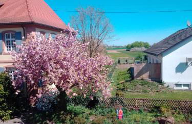 Gästehaus Brunhilde - Foto 12