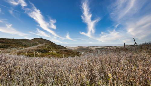 Ferienwohnung-Sandblume-mit-Meerblick - Foto 3