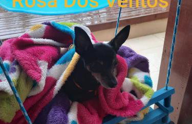 Casa Pousada Rosa dos Ventos - Foto 17