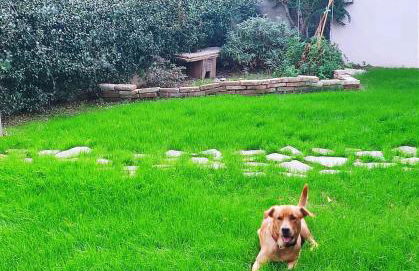 Valle Rubicone - Foto 12