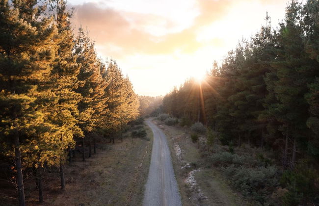 The Sebel Creswick Forest Resort - Foto 26