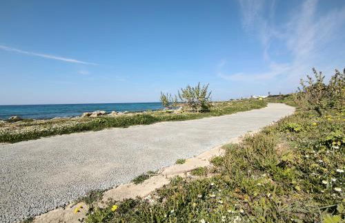 Perla Salentina Fronte mare Puglia On line - Foto 45