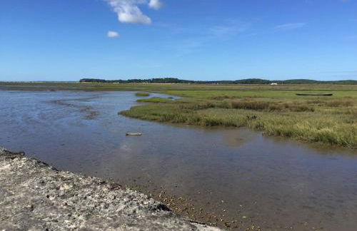 Villa familiale piscine-Océan & Bassin d'Arcachon - Foto 6