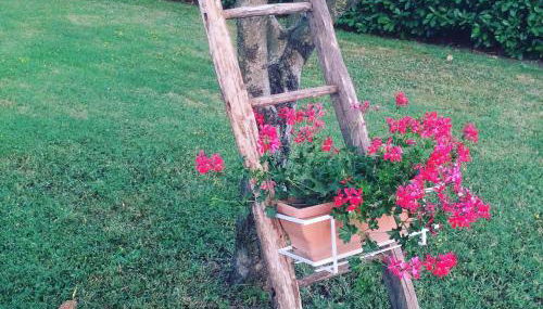 Villa Margherita - Foto 3, Garden