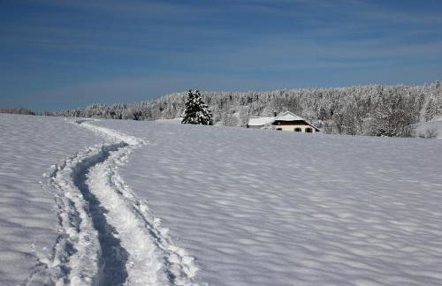 Studio 4 personnes, pied des pistes ski et VTT - Foto 31