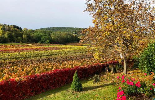 Apartment Am Weinberg by Interhome - Foto 38