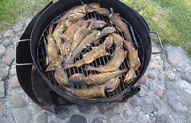 Cozy Studio 1 at the Seaside Agrotourism - Photo 11