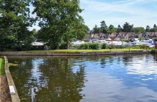 Nightingale - Photo 16