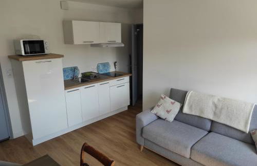 Appart' Islande - Foto 47