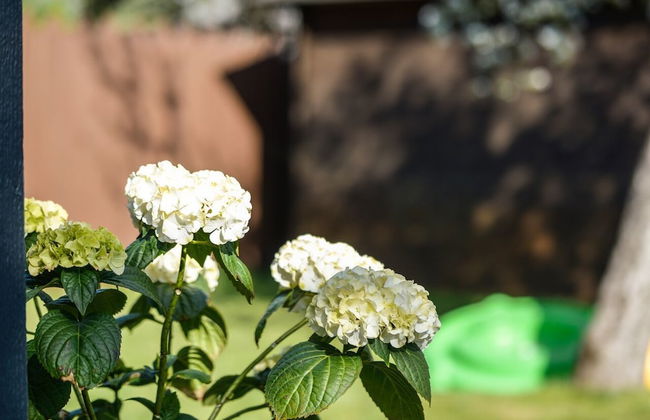 Karjamaa Camping - Foto 34