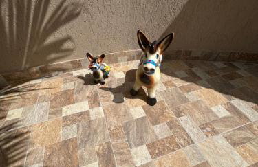 Cantinho da Bell - Foto 54