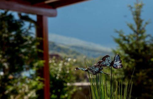 Villa Calma Biokovo near Makarska - Foto 48