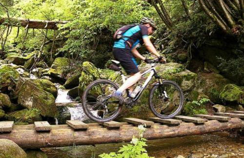 CAL QUEROL 1 - centre - Foto 21