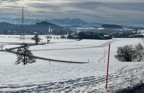 FeWo - Natur, Ruhe und Erholung - Foto 36