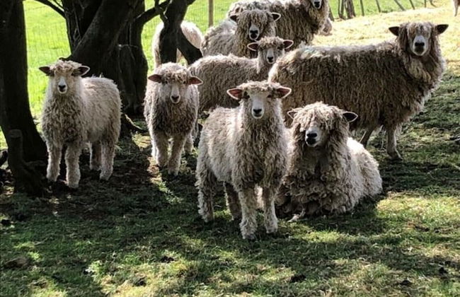 Cosy Lincs Wolds Cottage in Picturesque Tealby - Foto 18