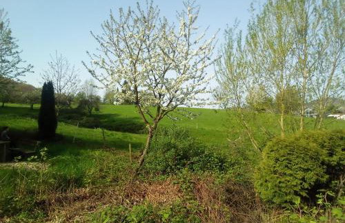 Forest Hill Travel &Work Nettes Apartment mit privatem Eingang Birkenau Mannheim Weinheim Heidelberg - Foto 19