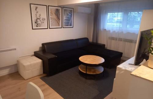 Apartment Lenchy 2 - Foto 1