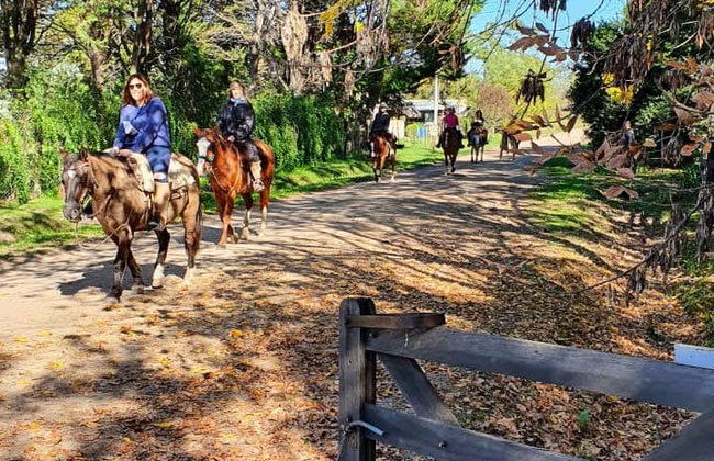 Horse Riding in Carlos Keen - Photo 8