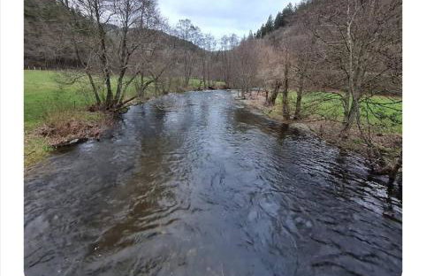 Ferienwohnung Palm - Foto 35