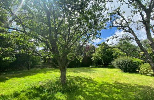 Vane Cottage - Lewes - Photo 7