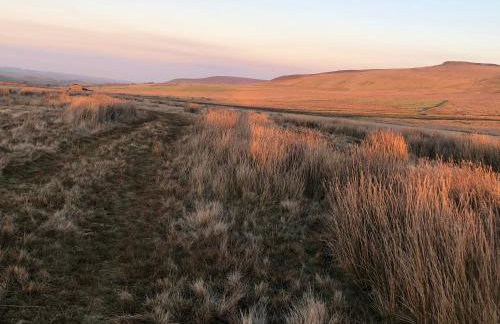 Coverdale cottage - Photo 67