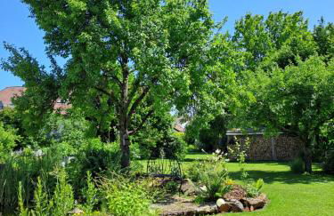 Schwarzwaldmarie - Foto 37