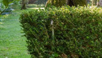 Suite Agave - Foto 3, Garden, Garden view, young children, Shower