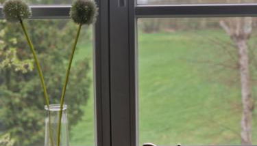 FeWo am Mühlbach - Foto 3