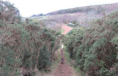 Kestrel, Longhouse Cottages - Foto 30