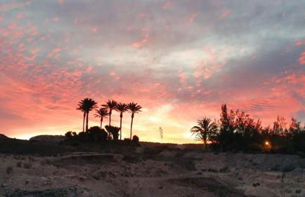 Ocean Dream 4A - Photo 8