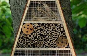 Polani - Il Noceto - Foto 20