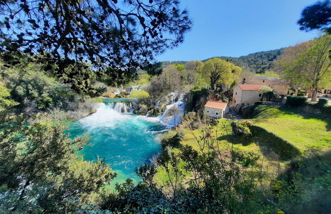 Villa Bloom garden - Foto 50