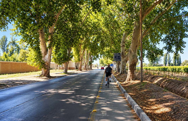 Location de vélos à Maipú - Photo 8