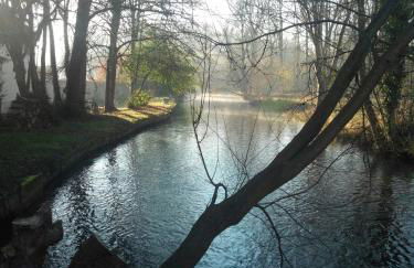 Gîte du Parc des Mauves - Photo 33