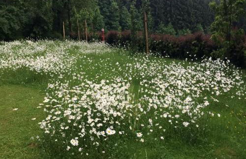 Ferienhaus in Kollnburg mit Garten - Photo 35