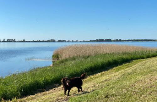 Rügen-Ferienhof - Foto 16