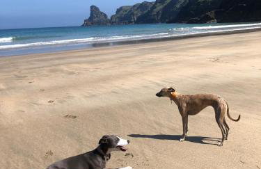 Plover Cottage at Trenale Court Cottages - Foto 10