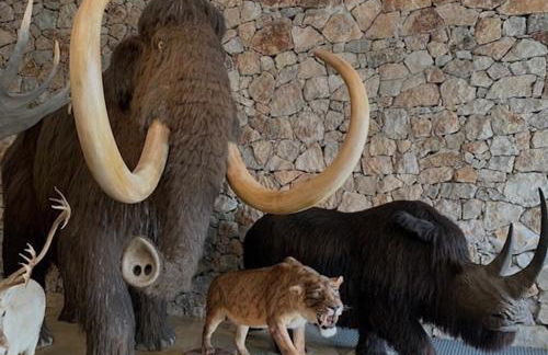 Montagnac Village House - Verdon - Foto 27