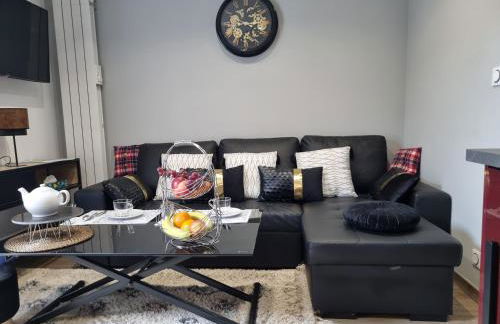 appart du sillon - Foto 3