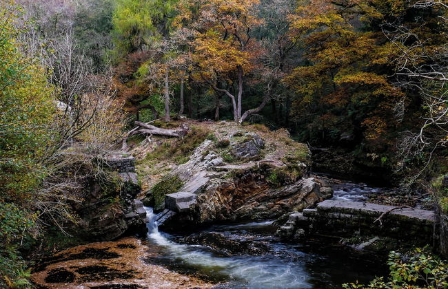 Canyon Cottage - Foto 12